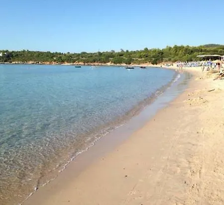 Rosy Alghero