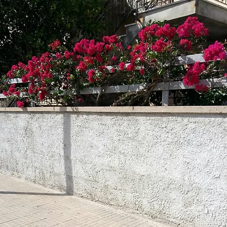 Rosy * Alghero